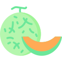 melón icon