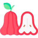 manzana rosa icon