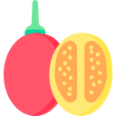 tamarillo icon