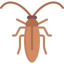 cucaracha icon