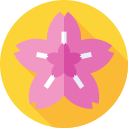 sakura icon