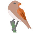 pájaro icon