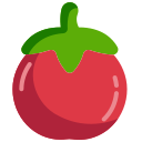 tomate icon