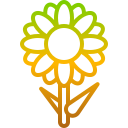 girasol icon