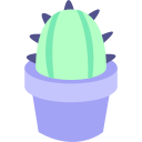 cactus icon