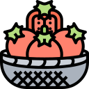 tomate icon