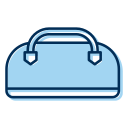 bolsa icon