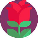 rosa icon