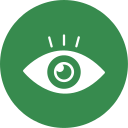 ojo icon