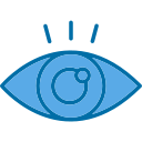 ojo icon