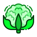 coliflor icon