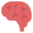 cerebro icon