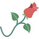 rosa icon