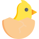 pollo icon