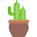 cactus icon