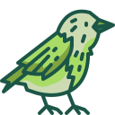 pájaro icon