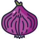 cebolla icon