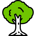 Árbol icon