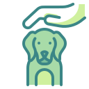 mascota icon