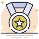 insignia icon