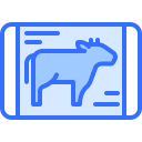 carne de vaca icon