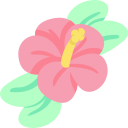 hibisco icon