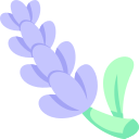 lavanda icon