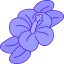 hibisco icon