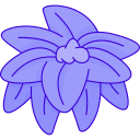 flor de pascua icon