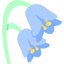 campanilla icon