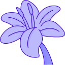 lirio icon