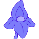 iris icon