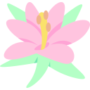 alstroemeria icon