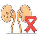 nierenkrebs icon