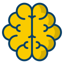 cerebro humano icon