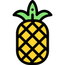 piña icon