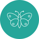 mariposa icon