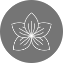 orquídea icon