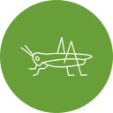 saltamontes icon