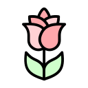 rosa icon