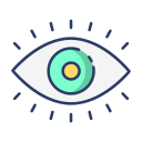 ojo icon