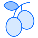 aceitunas icon