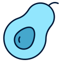 palta icon