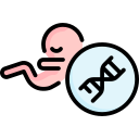 bebé icon