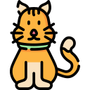 gato icon