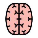 cerebro 