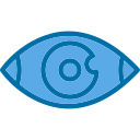 ojo icon