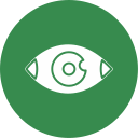 ojo icon