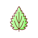 hoja icon