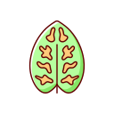 dieffenbachia icon